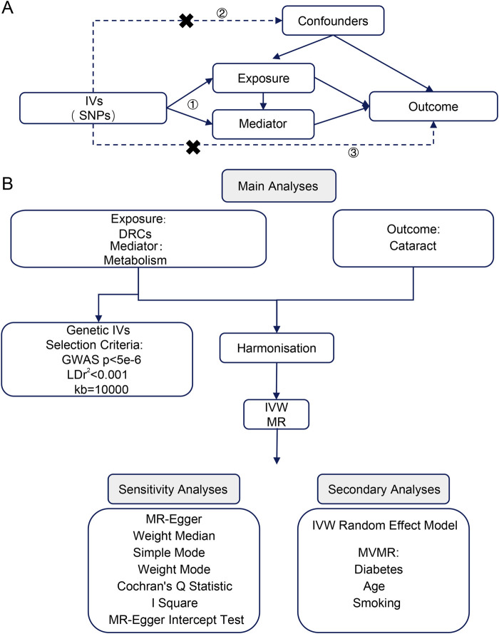 Dietary-related characteristics and cataract risk: evidence from a mendelian randomization study.