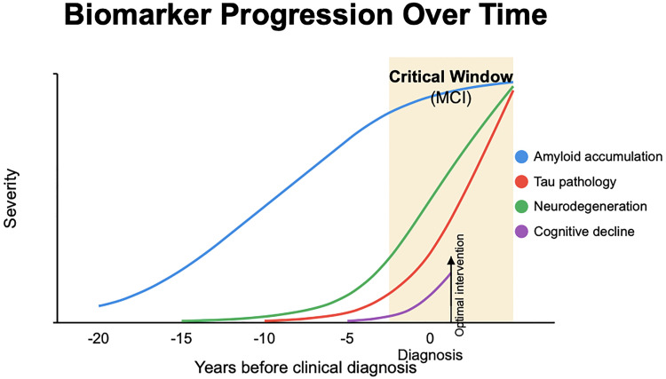 The mild cognitive impairment window for optimal Alzheimer's disease intervention.