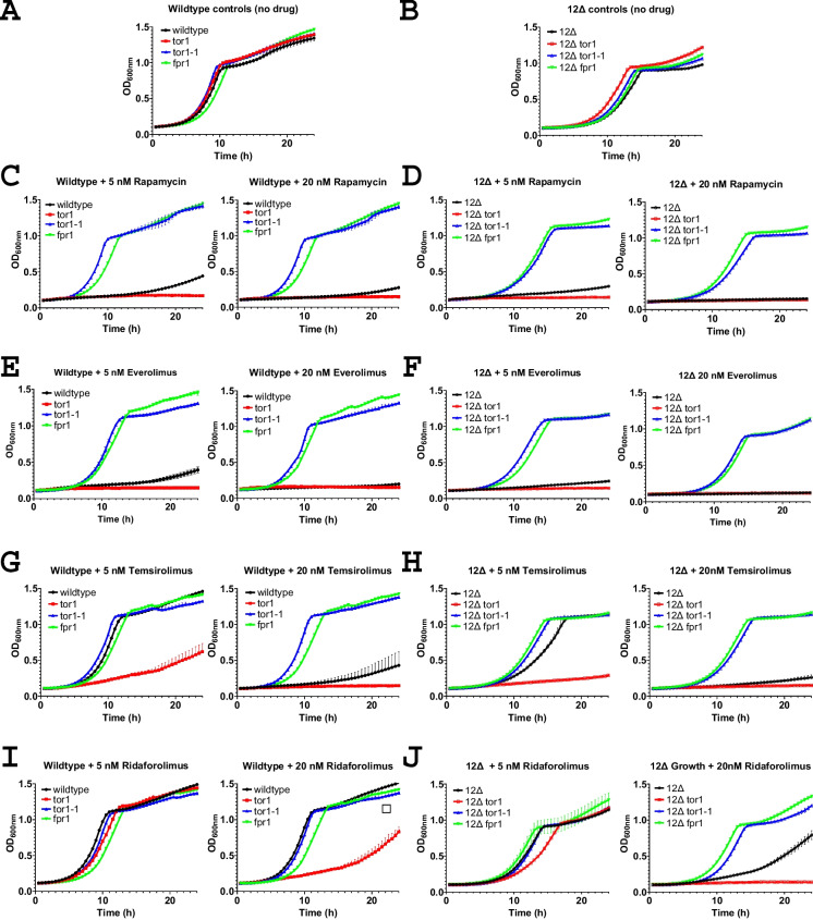 An mTOR inhibitor discovery system using drug-sensitized yeast.
