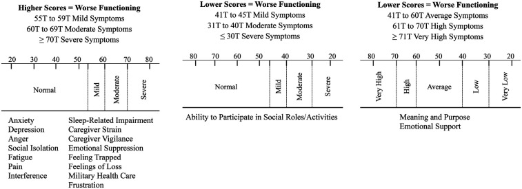 The Family Wellness Program: a bench to bedside translation of behavioral and social science research into a clinical program for intimate partners of warfighters following traumatic brain injury.