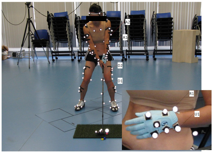 Pitch Invariance Reveals Skill-Specific Coordination in Human Movement: A Screw-Theoretic Reanalysis of Golf Swing Dynamics.