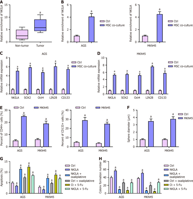 Mesenchymal stem cell-derived lncRNAs NKILA contributes to stemness and chemoresistance by fatty acid oxidation in gastric cancer <i>via</i> miR-485-5p/STAT3.
