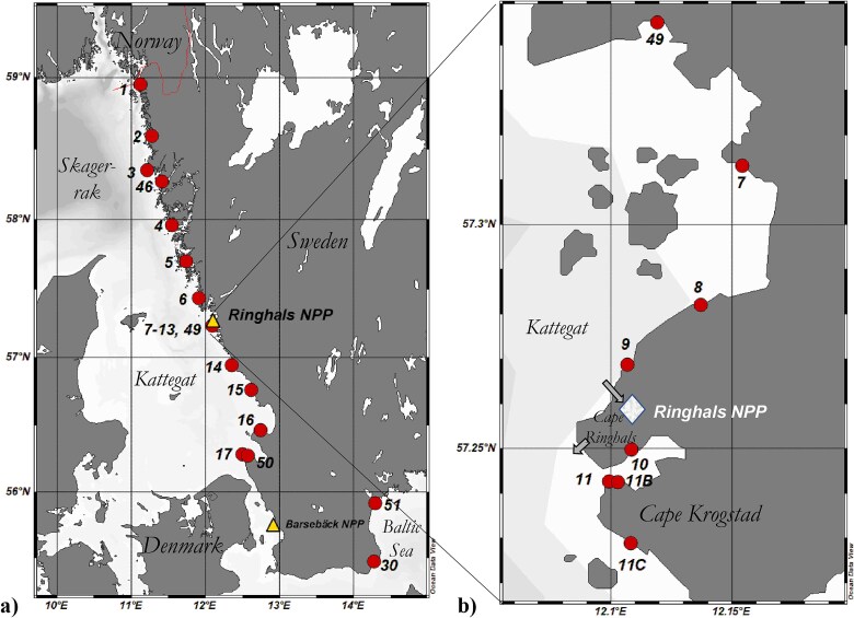 Current trends in radiocarbon in Skagerrak and Kattegat assessed by brown algae from Swedish coastal waters.