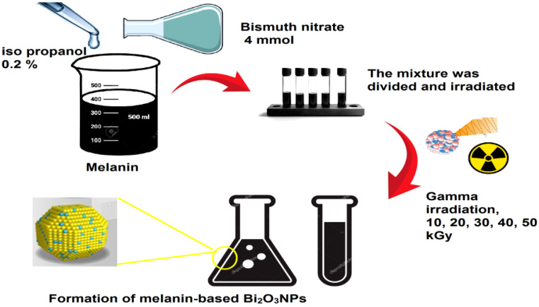 Green synthesis of gamma rays-induced melanin-based bismuth oxide nanoparticles for evaluation of the antibacterial and anti-virulence activities against extra-intestinal pathogenic bacteria.