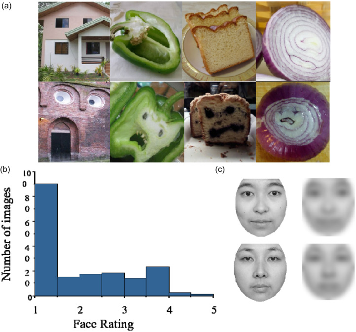 Gender differences in face pareidolia: The effect of cognitive style and judgment criteria.