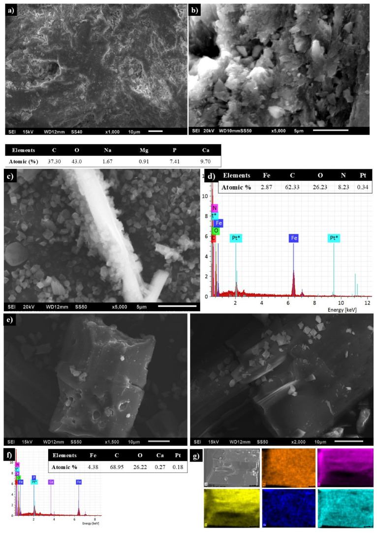 MIL-53 MOF on Sustainable Biomaterial for Antimicrobial Evaluation Against <i>E. coli</i> and <i>S. aureus</i> Bacteria by Efficient Release of Penicillin G.