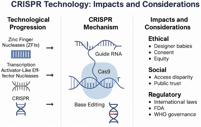 Ethical dimensions and societal implications: ensuring the social responsibility of CRISPR technology.