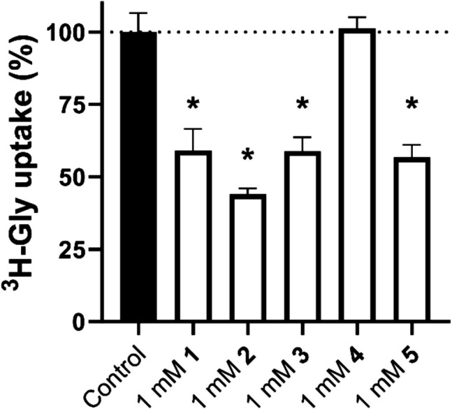 Fragment-Based Screening Identifies Novel Non-Amino Acid Inhibitors of the Sodium-Coupled Neutral Amino Acid Transporter SNAT2.