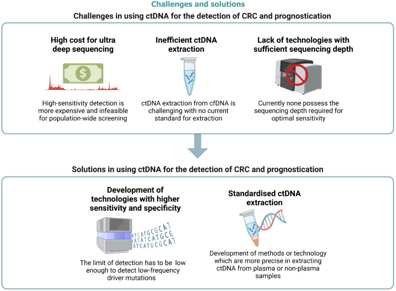 Challenges and proposed solutions to the adoption of cell free DNA in screening, detecting and prognosticating colorectal cancer.