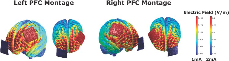 Generalized learning induced by training and tDCS is predicted by prefrontal cortical morphology.