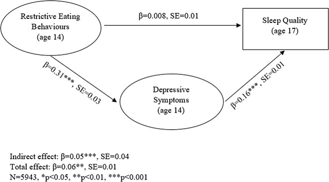 Investigating the longitudinal bi-directional relationship between self-reported restrictive eating behaviours and sleep in UK adolescents within the Millennium Cohort Study.