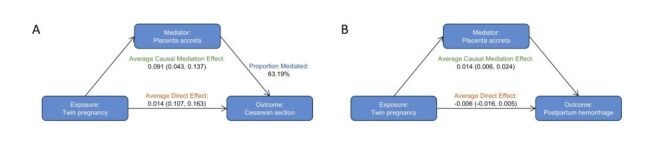 Differential risk and clinical characteristics of placenta accreta spectrum in twin and singleton pregnancies: implications for perinatal outcomes.
