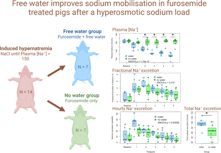 Free water improves sodium mobilization in furosemide treated pigs after a hyperosmotic sodium load.