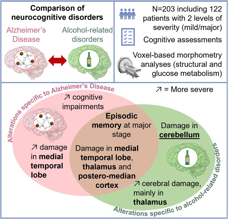 Cognitive and cerebral phenotypes of neurocognitive disorders due to alcohol or Alzheimer's disease.