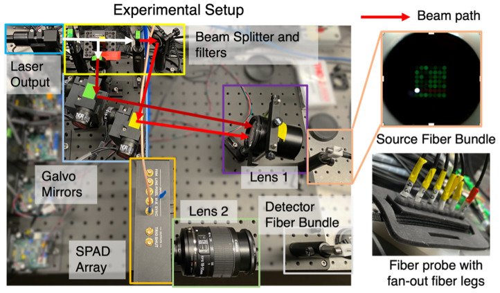 Noninvasive monitoring of fetal tissue oxygenation level using time-domain NIRS.