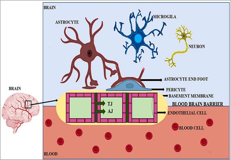Recent Advancements in Lipid Nanoparticles-Based Phytoactives Delivery Systems for Neurodegenerative Diseases.