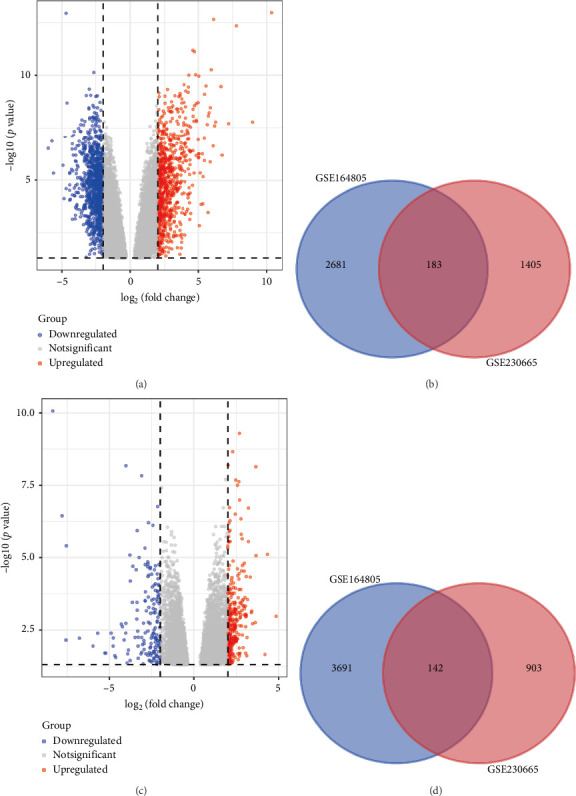 Uncovering Overlapping Gene Networks and Potential Therapeutic Targets in Osteoporosis and COVID-19 Through Bioinformatics Analysis.