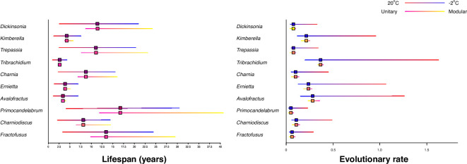 Constraining the lifespans of early animals of the Ediacaran.