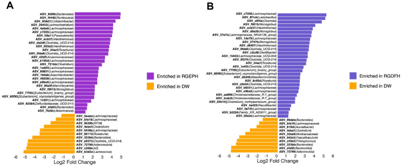 Modulation of Gut Microbiota by Red Ginseng Extract Powder and Dietary Fiber in Obese Mice: Identification of Key Microbial Candidates.
