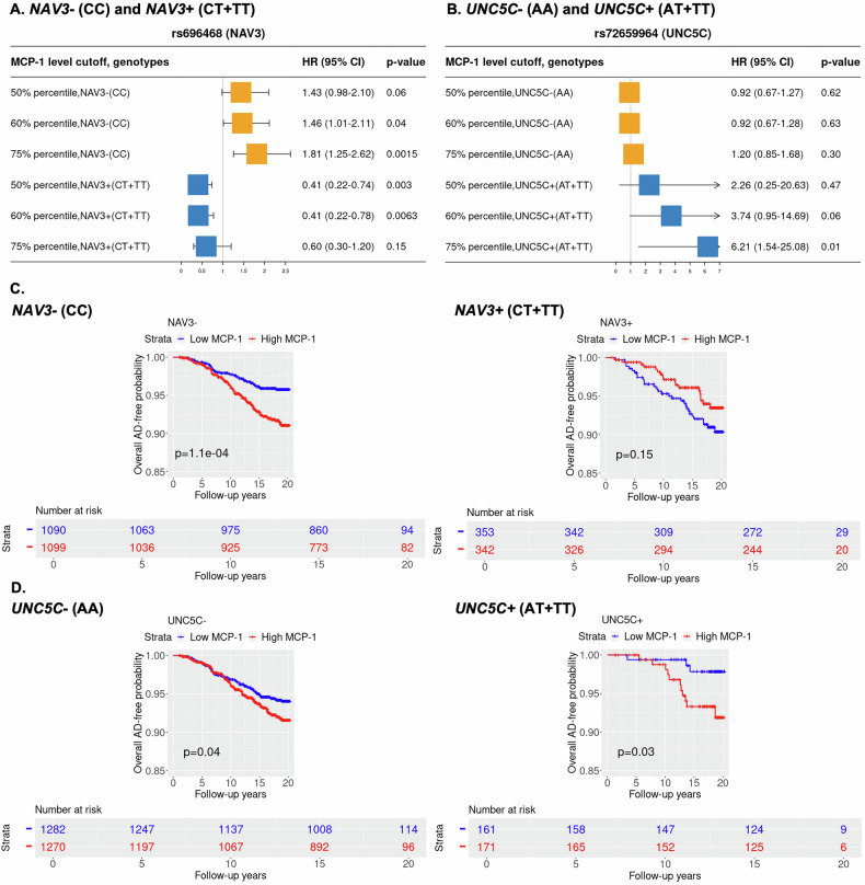 The impact of blood MCP-1 levels on Alzheimer's disease with genetic variation at the NAV3 and UNC5C loci.