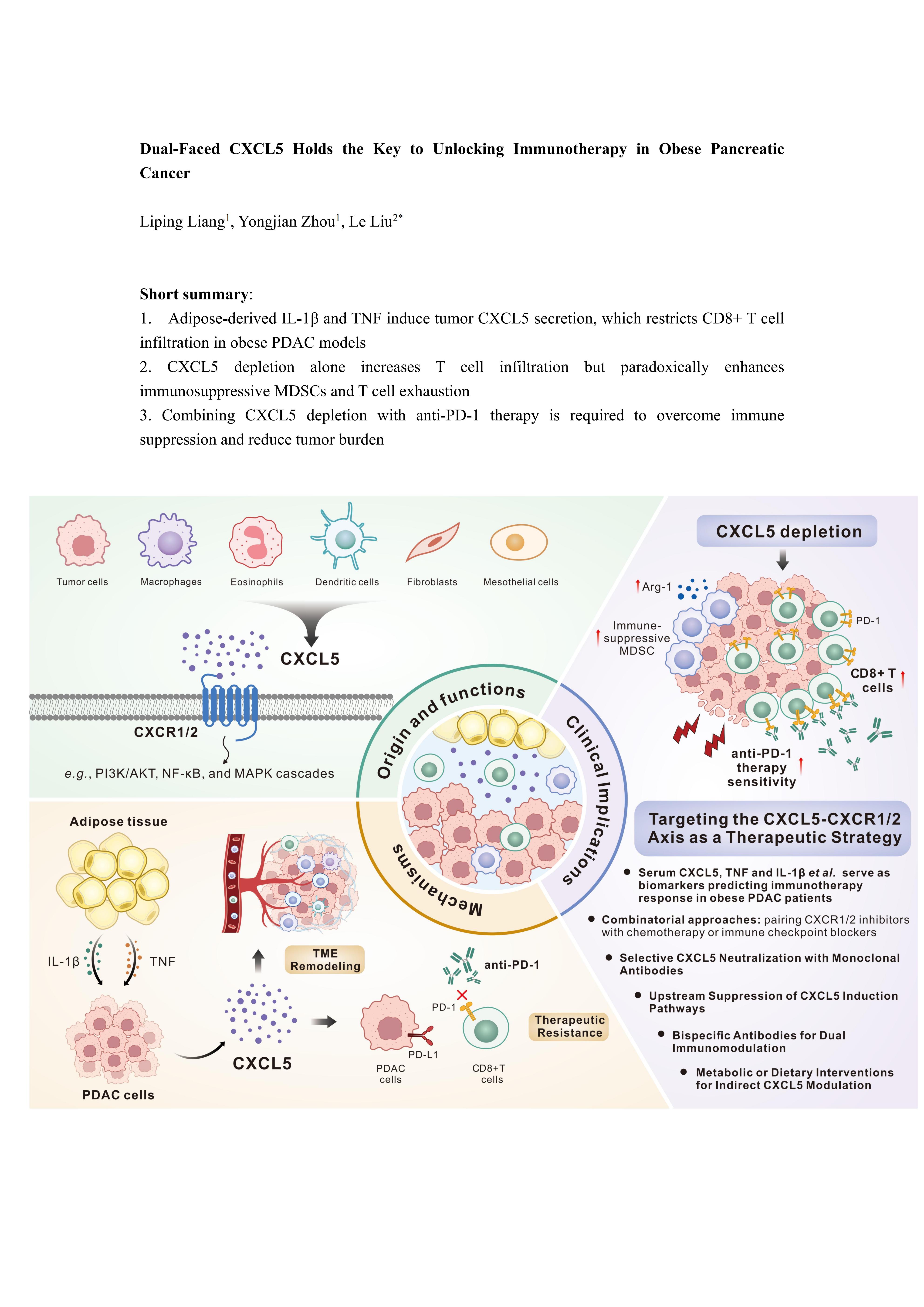 Dual-faced CXCL5 holds the key to unlocking immunotherapy in obese pancreatic cancer.