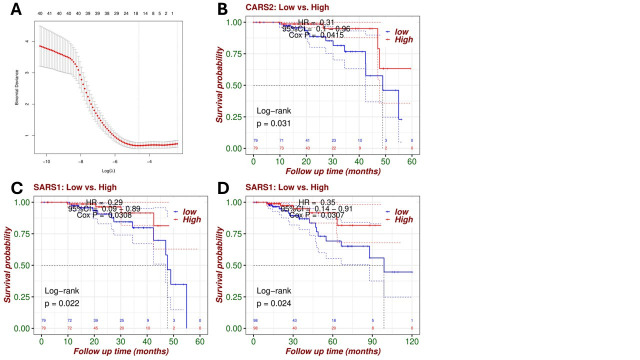 Identification of SARS1 as a Prognostic Biomarker in Invasive Lobular Carcinoma Using Lasso-Logistic Regression.