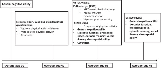 Relationships among young adult general cognitive ability, midlife physical activity, and early late-life cognitive functioning: A four-decade longitudinal cohort study in men.