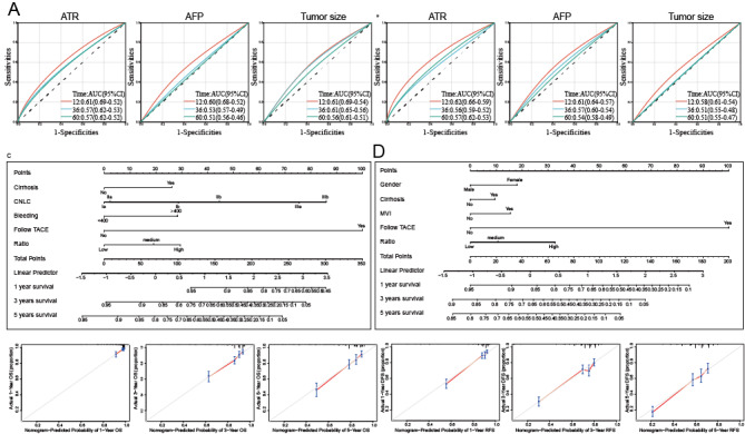 Serum Alpha-Fetoprotein-Tumor Size Ratio as a Prognostic Marker After Hepatic Resection for Primary Hepatocellular Carcinoma: Propensity Score Matched Retrospective Cohort Study.