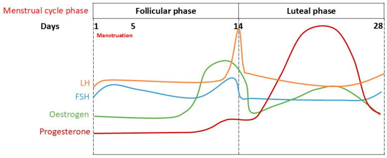 Autonomic Nervous System, Cognition, and Emotional Valence During Different Phases of the Menstrual Cycle-A Narrative Review.