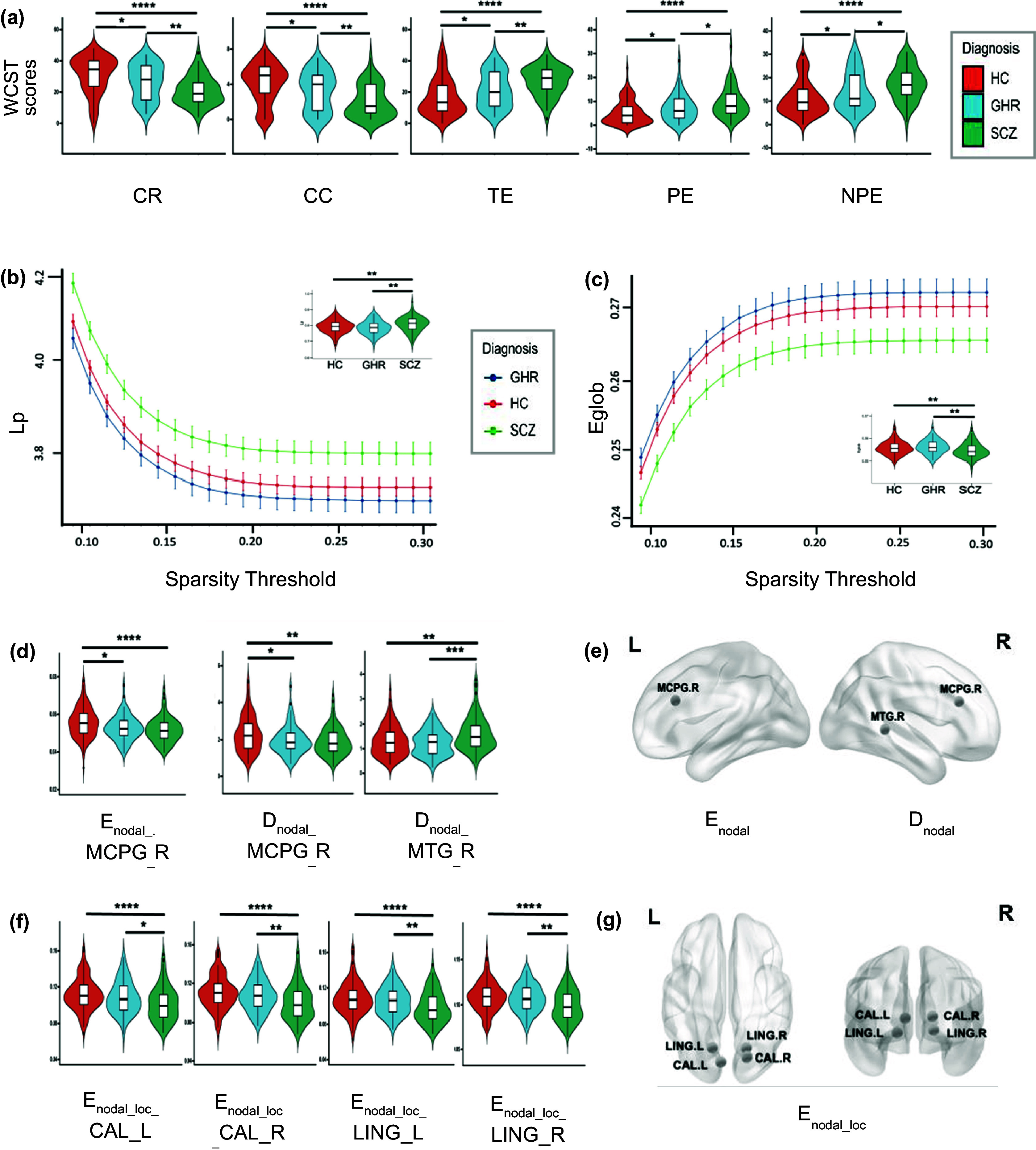 Impact of schizophrenia-associated risk genes on brain functional networks and executive deficits: a study of individuals with schizophrenia and genetic high risk.