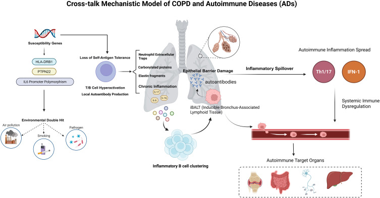 Cross-Trait Genome-Wide Association Study Identifies Shared Genetic Risk Loci Between COPD and Five Autoimmune Diseases.