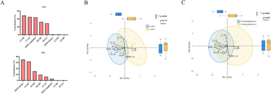Neural Plasticity and Hearing-Speech Development in Children with Auditory Brainstem Implants for Congenital Hearing Loss Due to Severe Inner Ear Malformation.
