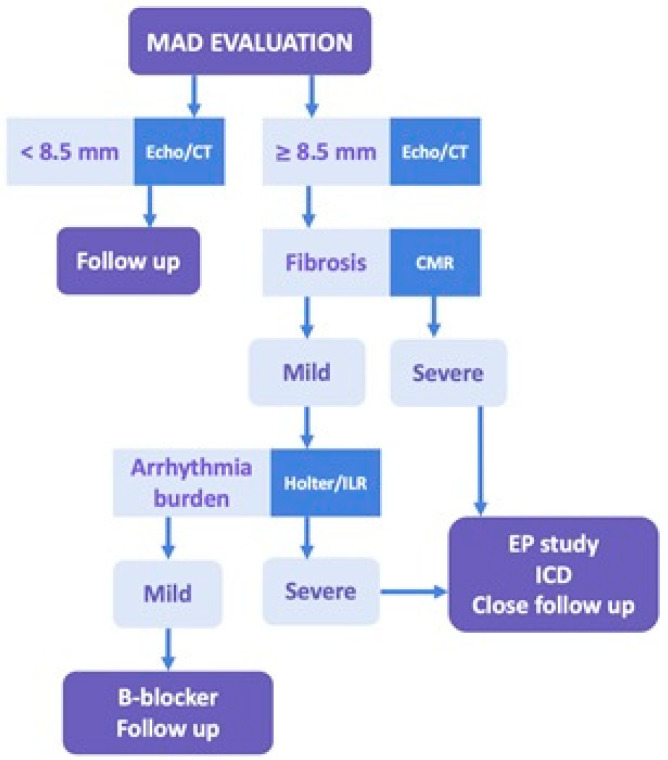 Mitral Annular Disjunction: Epidemiology, Diagnostic Methods, Prognosis, and Novel Implications.