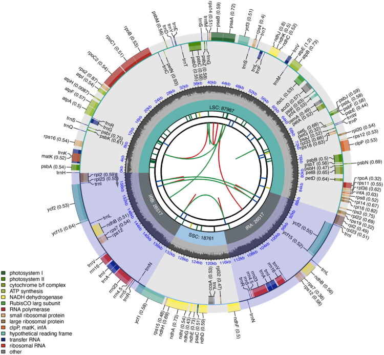Characterization of the complete plastid genome sequence of <i>Magnolia buenaventurensis</i> Á.J. Pérez & E. Rea (Magnoliaceae), a newly described species endemic to the Ecuadorian Andes.