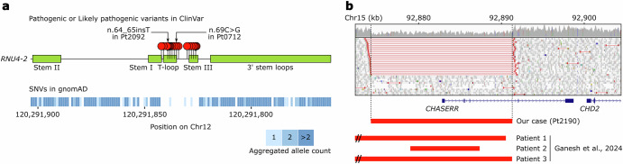 Genome sequencing provides high diagnostic yield and new etiological insights for intellectual disability and developmental delay.