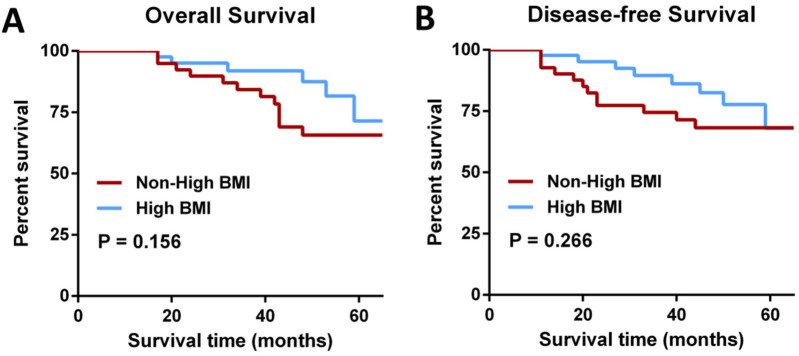 Outcomes of high BMI colorectal cancer patients with natural orifice specimen extraction surgery: a propensity-score matching study.
