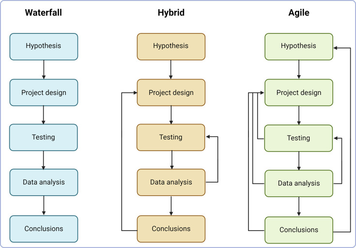 Implementation of project management methodologies in microbiology research laboratories.