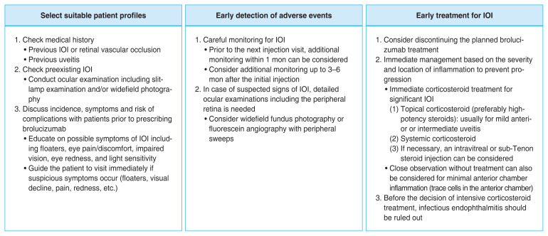 Consensus of Expert Recommendations for the Safe Administration of Brolucizumab in Neovascular Age-related Macular Degeneration.
