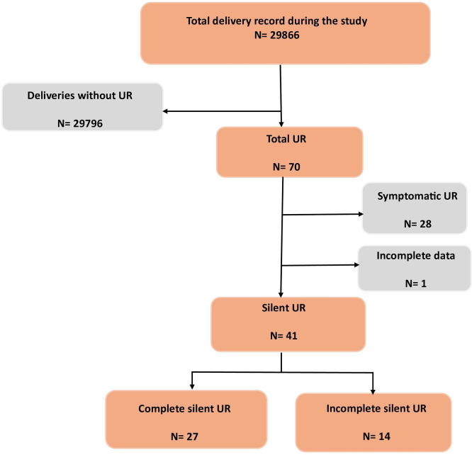Silent Danger: Risk Factors and Outcomes of Fortuitously Discovered Uterine Rupture - A 41-Case Cohort Study.