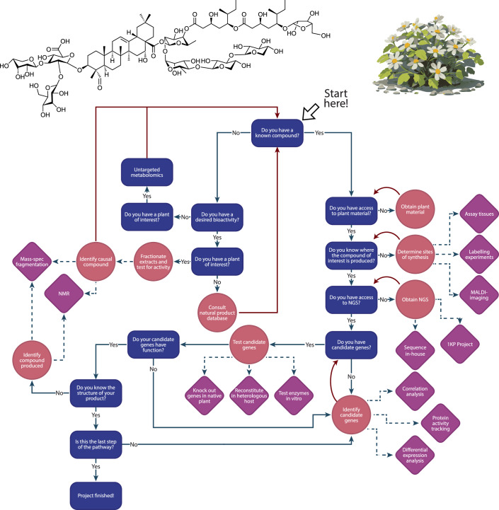 A million shades of green: understanding and harnessing plant metabolic diversity.