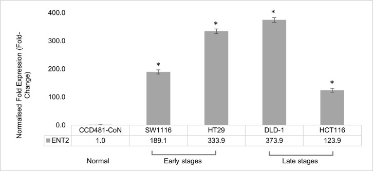 CRISPR/Cas9 mediated ENT2 gene knockout altered purine catabolic pathway and induced apoptosis in colorectal cell lines.