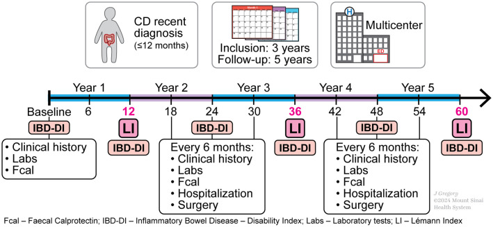 The CROCO (CROhn's Disease COhort Study) - study design and protocol.