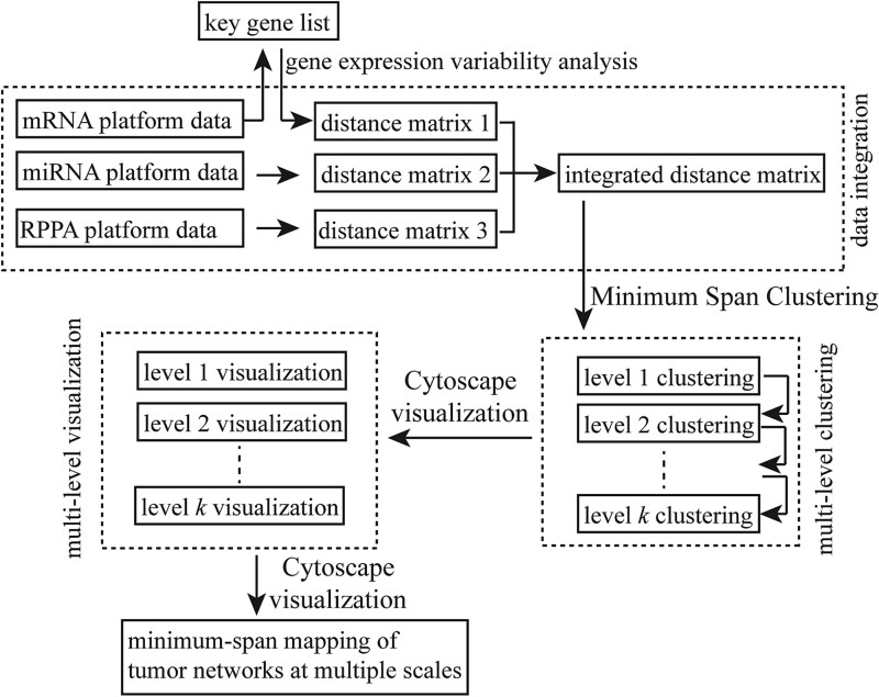 Mapping cancer heterogeneity: a consensus network approach to subtypes and pathways.