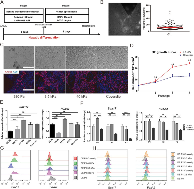 Correction: Consistent apparent Young's modulus of human embryonic stem cells and derived cell types stabilized by substrate stiffness regulation promotes lineage specificity maintenance.