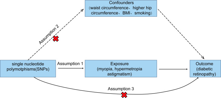 Causal association between different types of ametropia and risk of diabetic retinopathy: a two-sample Mendelian randomization study.