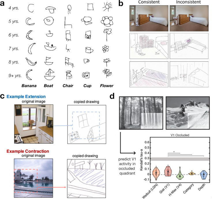 Characterizing internal models of the visual environment.