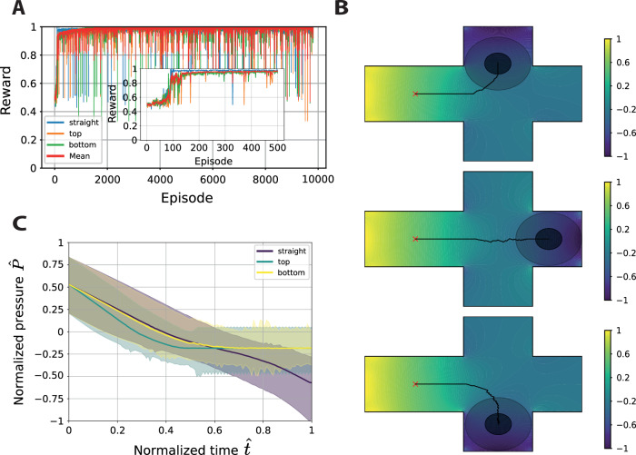 Leveraging agent-based models and deep reinforcement learning to predict taxis in cell migration.