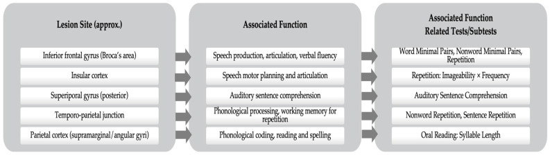 Personalized Language Training and Bi-Hemispheric tDCS Improve Language Connectivity in Chronic Aphasia: A fMRI Case Study.