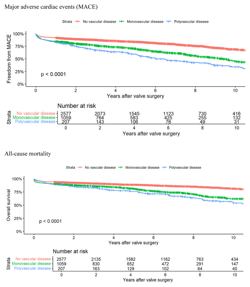 Prevalence, Clinical Characteristics and Prognosis of Vascular Disease in Valvular Heart Surgery: A Multi-Centre Study.