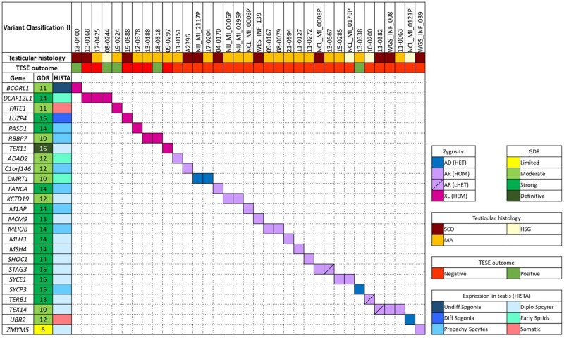 Genetic determinants of testicular sperm extraction outcomes: insights from a large multicentre study of men with non-obstructive azoospermia.